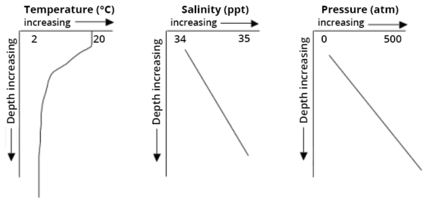 Ocean Water Pressure Depth Chart