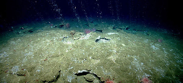 Photo showing streams of methane bubbles.