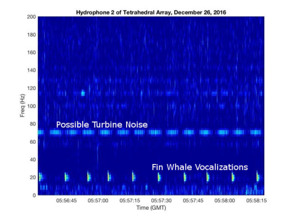 Signal Processing - Discovery of Sound in the Sea