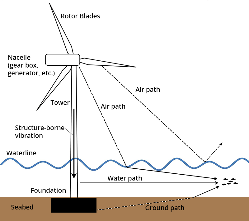 Diagram showing a wind turbine on its foundation in the seabed with arrows showing the sound travel pathways. Travel pathways include from the nacelle down the tower to the foundation and then into the water or the foundation, from the foundation through the seabed into the water, from the air to the water, and from the air reflected off eh water surface back into the air (no transmission to the water).