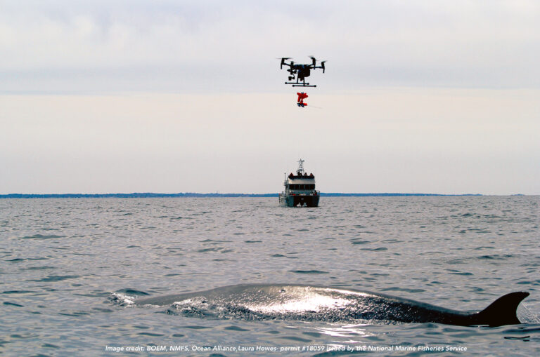 Discovery Of Sound In The Sea